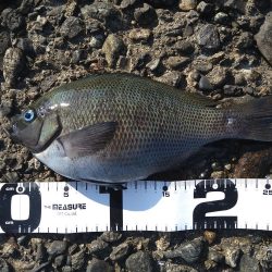 キス狙いでまさかのグレ